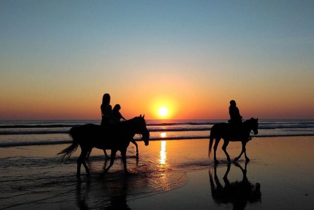 Fethiye Denizde At Turu