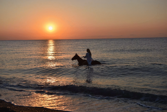 Fethiye Denizde At Turu