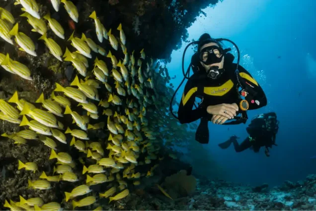 Fethiye Tüplü Dalış