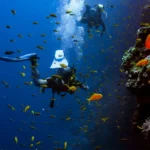 Fethiye Tüplü Dalış