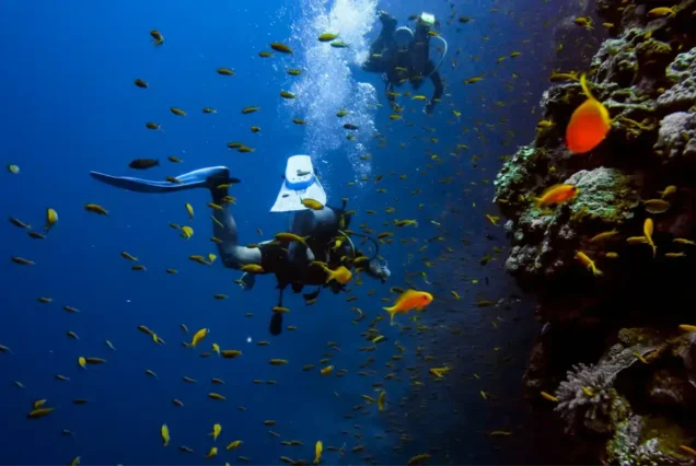 Fethiye Tüplü Dalış - Scuba Diving